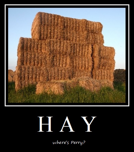 Hay Phineas And Ferb