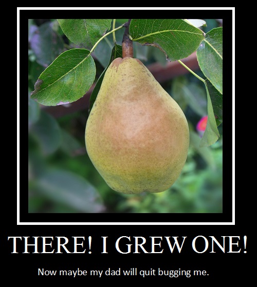 Grow A Pear